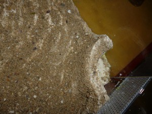 puit1, Fabrication d'une fourmilière pour des Myrmica rubra