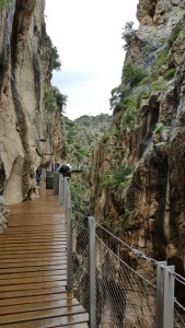 Les nouvelles passerelles à flanc de falaise dans les gorges d'El Chorro, Les fourmis d'Andalousie (Espagne)
