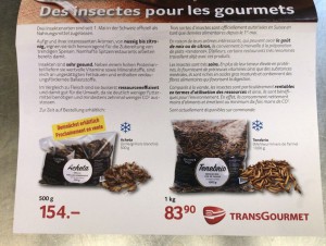 Prix insecte en Suisse, alternative aux insectes pour les protéines